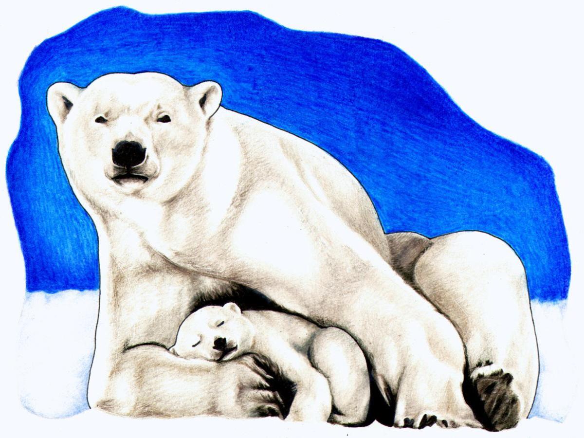 1200x900 Polar Bear Clip Art Image Clipartix