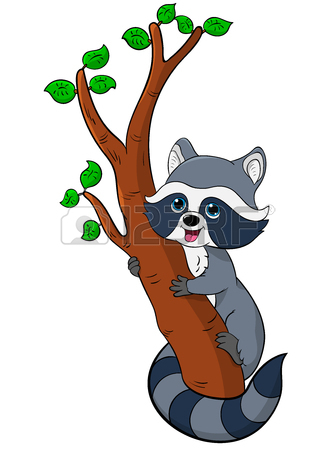 336x450 Top 51 Raccoon Clipart