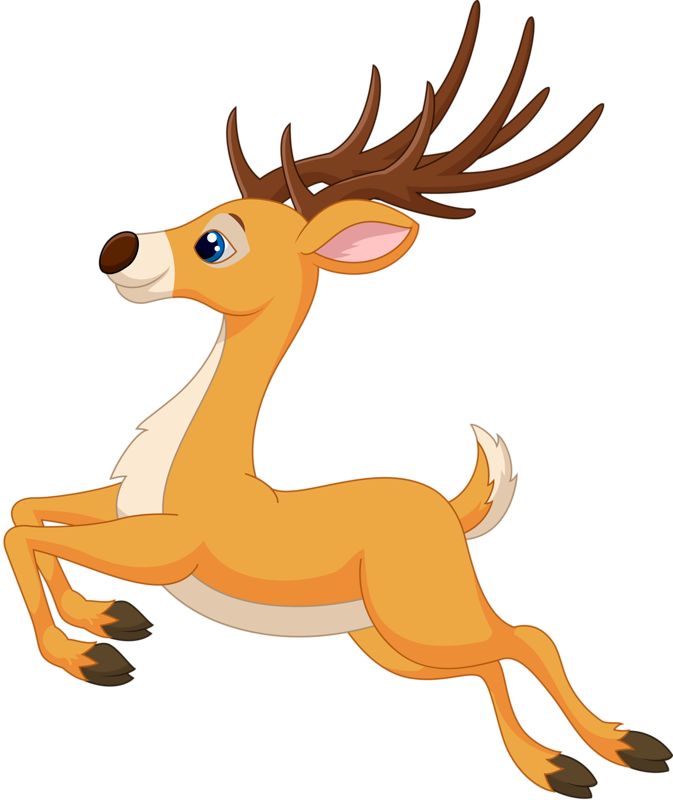 673x800 19 Best Christmas Reindeer Images Pictures, Merry