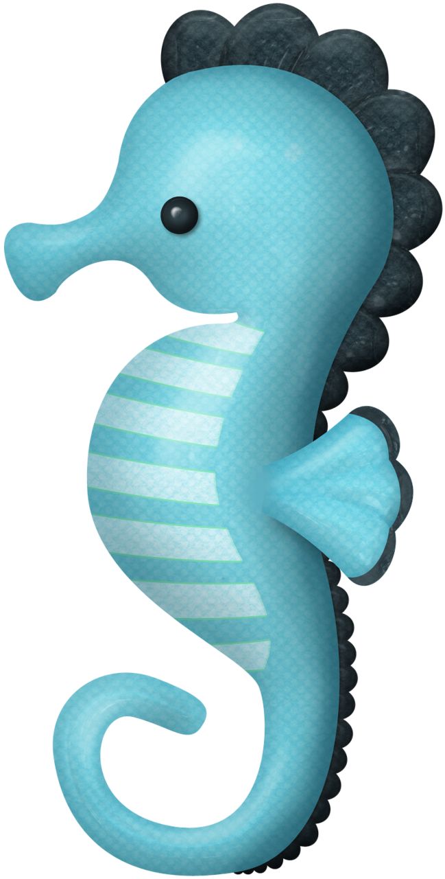 Baby Seahorse Clipart