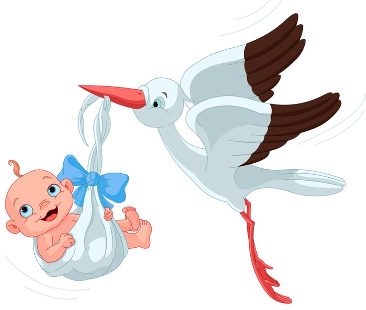 736x623 22 Best Baby Clip Art Images Pictures, Baby Owl