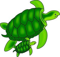 236x222 Turtle Clip Art Free Free Vector For Free Download About Free