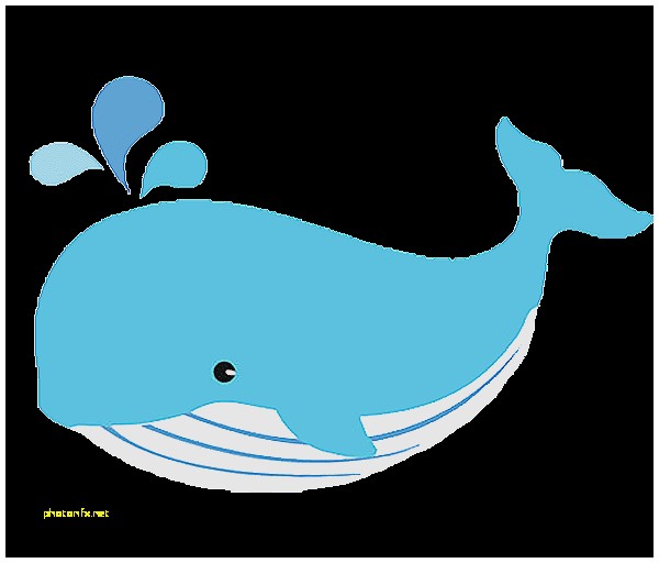 600x512 Baby Shower Invitation. Fresh Cow Baby Shower Invitations Cow