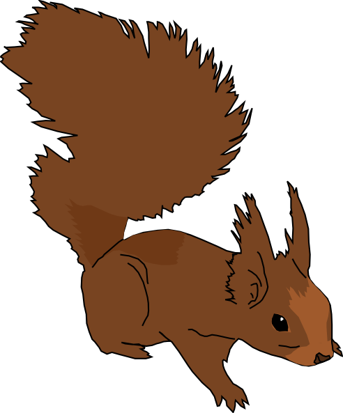 492x593 Squirrel Clip Art Clipart Cliparts For You