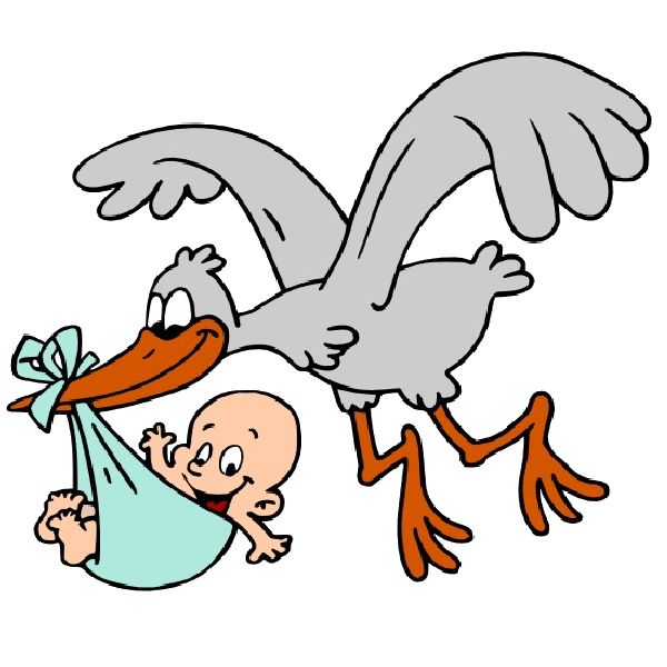 Baby Stork Clipart