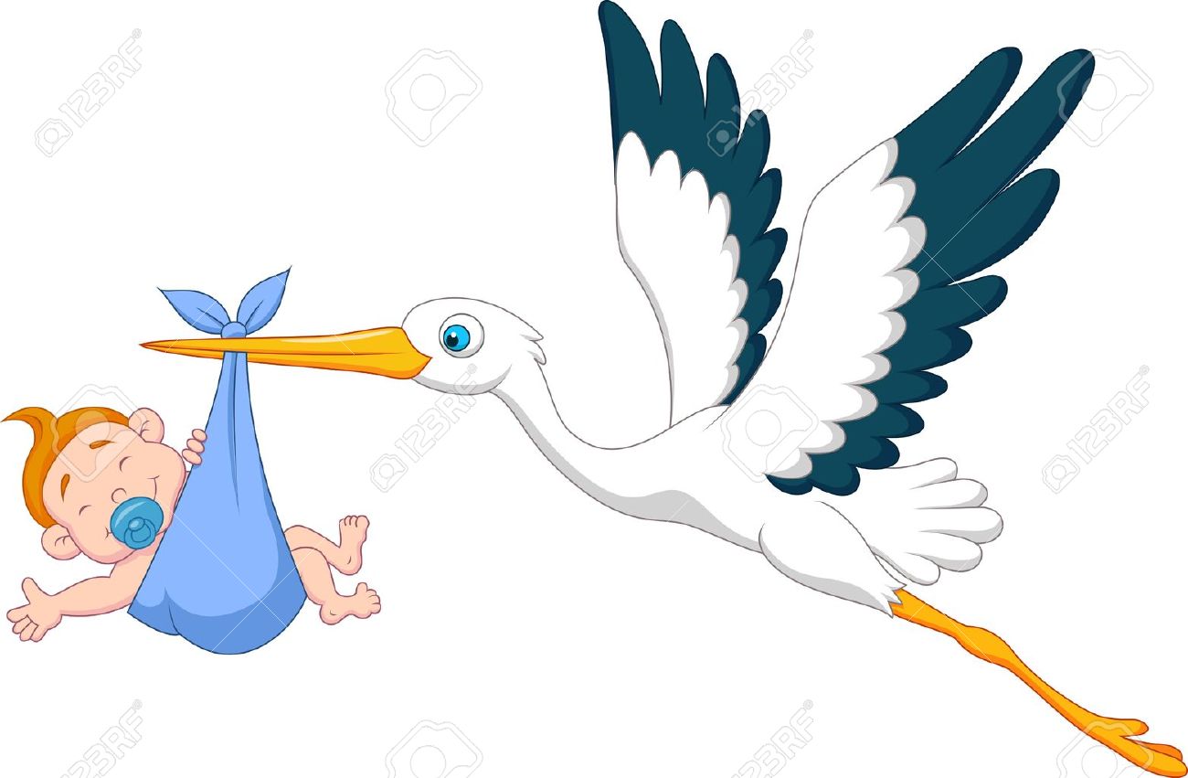 1300x851 Images Stork With Baby