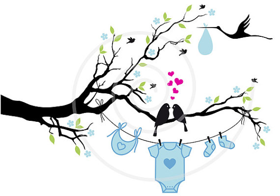 570x399 New Baby Digital Clip Art Baby Boy Baby Girl Cute Birds