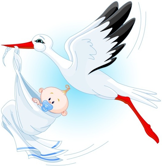 534x548 Stork Carrying A Baby Vector Free Vector In Encapsulated