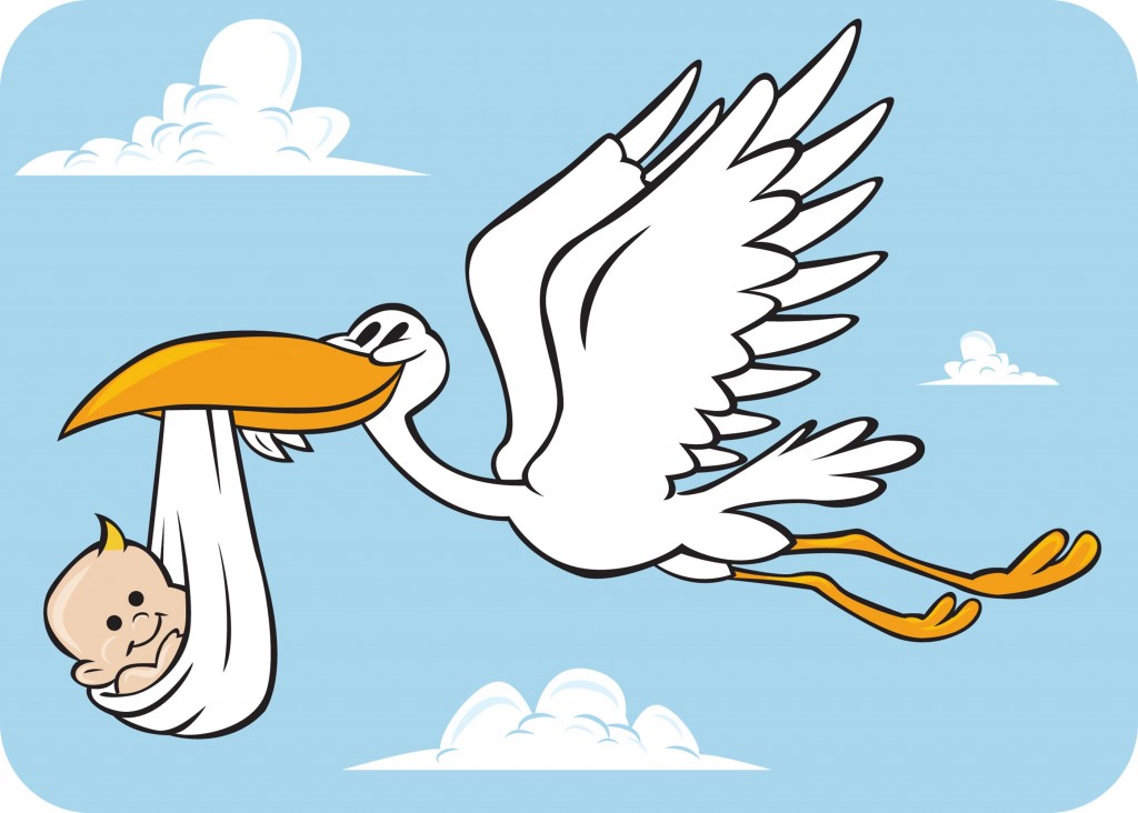 1024x732 Stork Clipart Baby Announcement