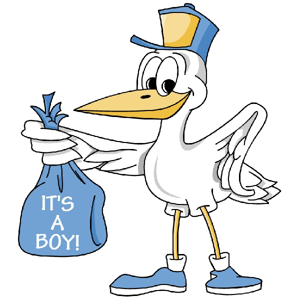 600x600 Cartoon Stork Image Delivering Baby Boy Desenhos