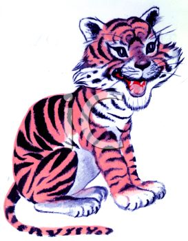273x350 Baby Tiger
