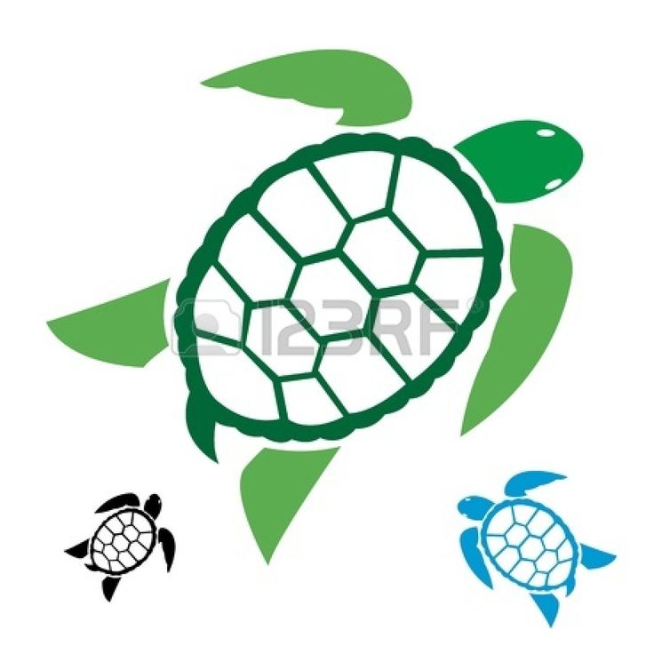 736x736 Graphics For Simple Sea Turtle Graphics