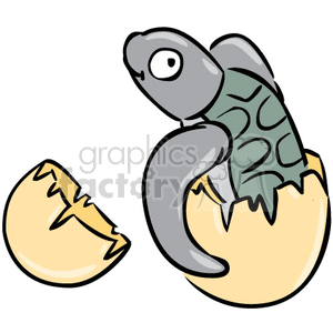 300x300 Royalty Free Baby Turtle Breaking Out Of His Egg 377060 Vector