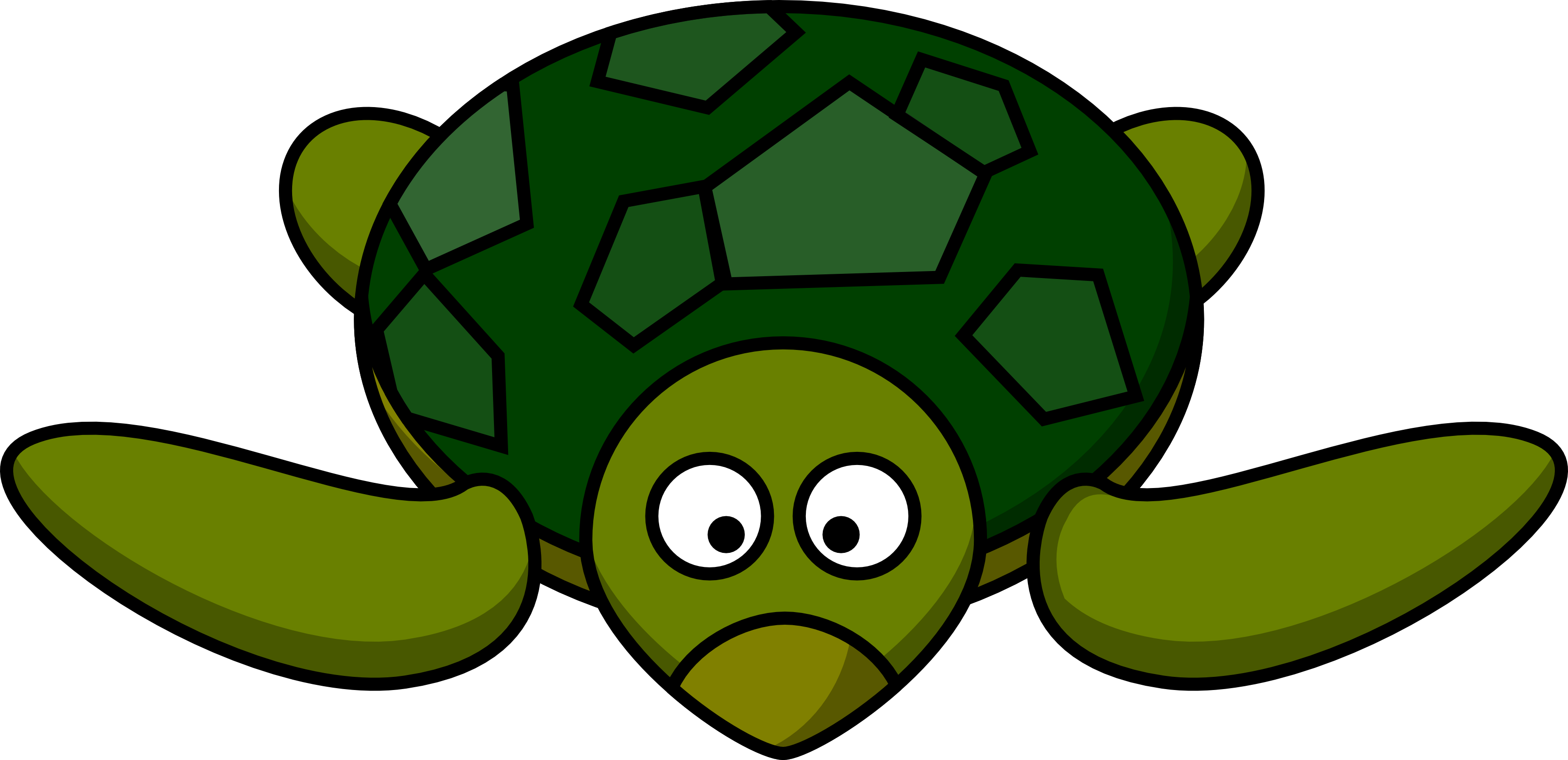 3333x1618 Turtle Pictures Clip Art Clipart Panda