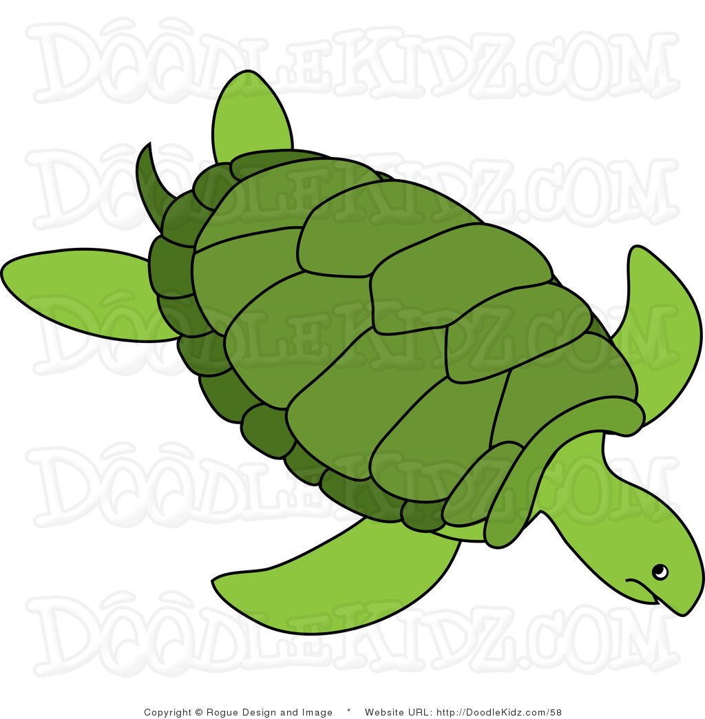1024x1044 Baby Turtle Clipart Clipart Panda