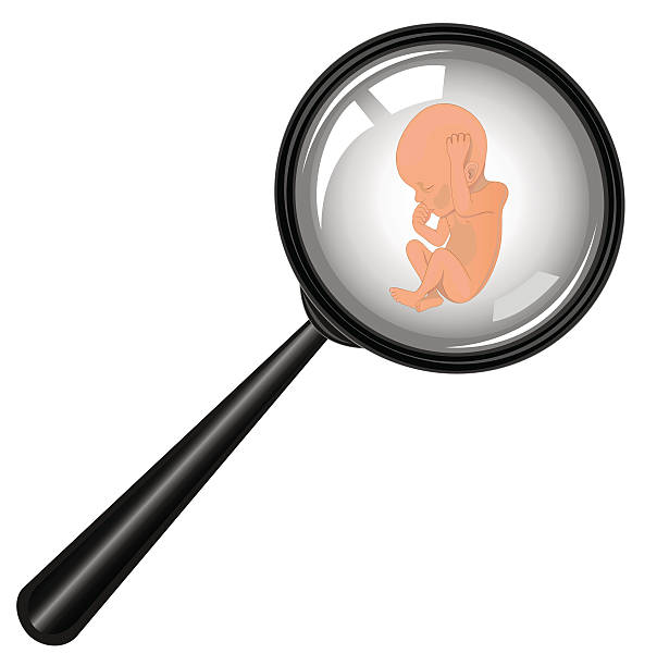 604x612 Premature Baby Clipart