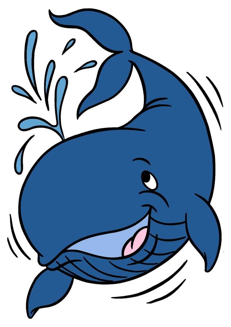 736x1040 Top 10 Clipart Whale