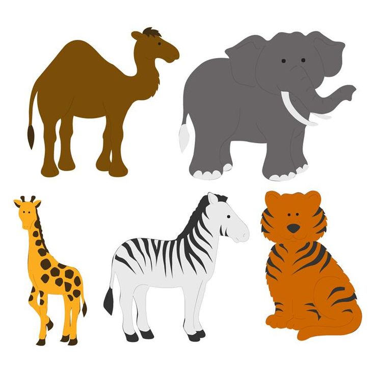 736x736 Animal Kingdom Clipart Baby Zoo Animal