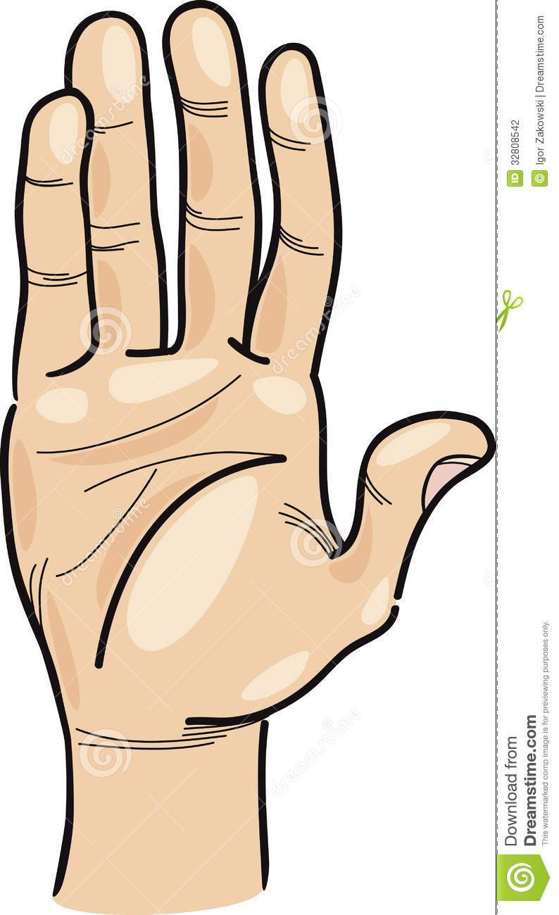 794x1300 Finger Clipart Back Hand