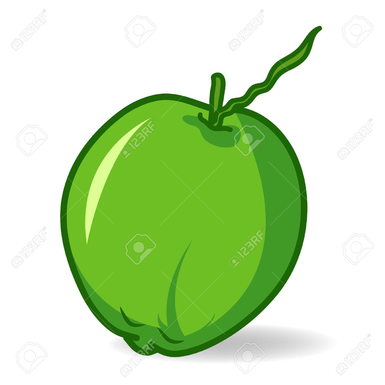 1300x1300 Coconut Clip Art On White Background Royalty Free Cliparts