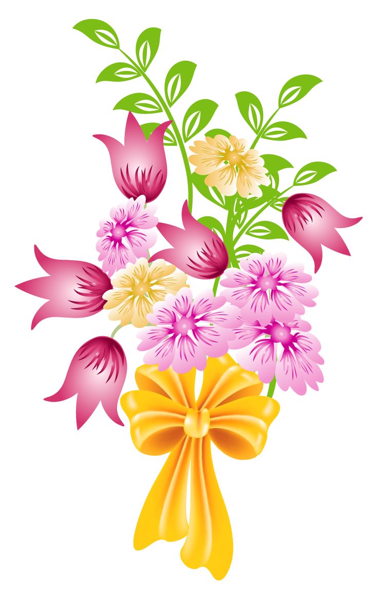 736x1159 Spring Flower Bouquet Clip Art Background 1 Hd Wallpapers Image