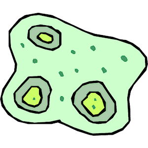 300x300 Bacteria Clipart Other
