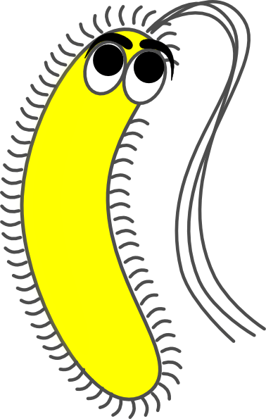 378x595 Dead Bacteria Cliparts 201635