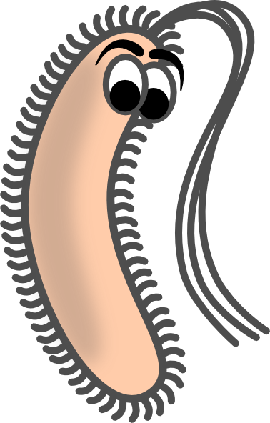 378x592 Funny Bacteria Clip Art