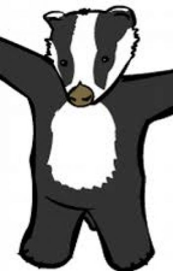 352x550 The Bad Badger