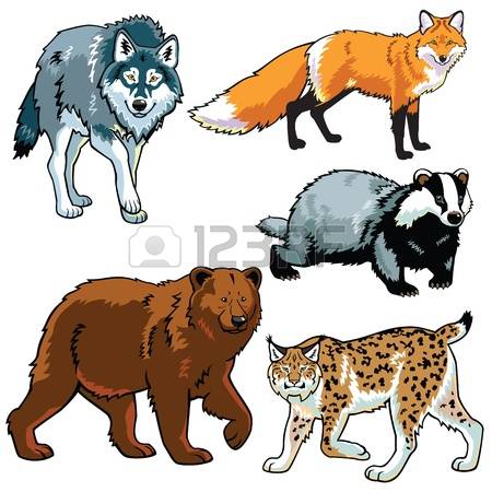 450x450 Top 93 Badger Clipart