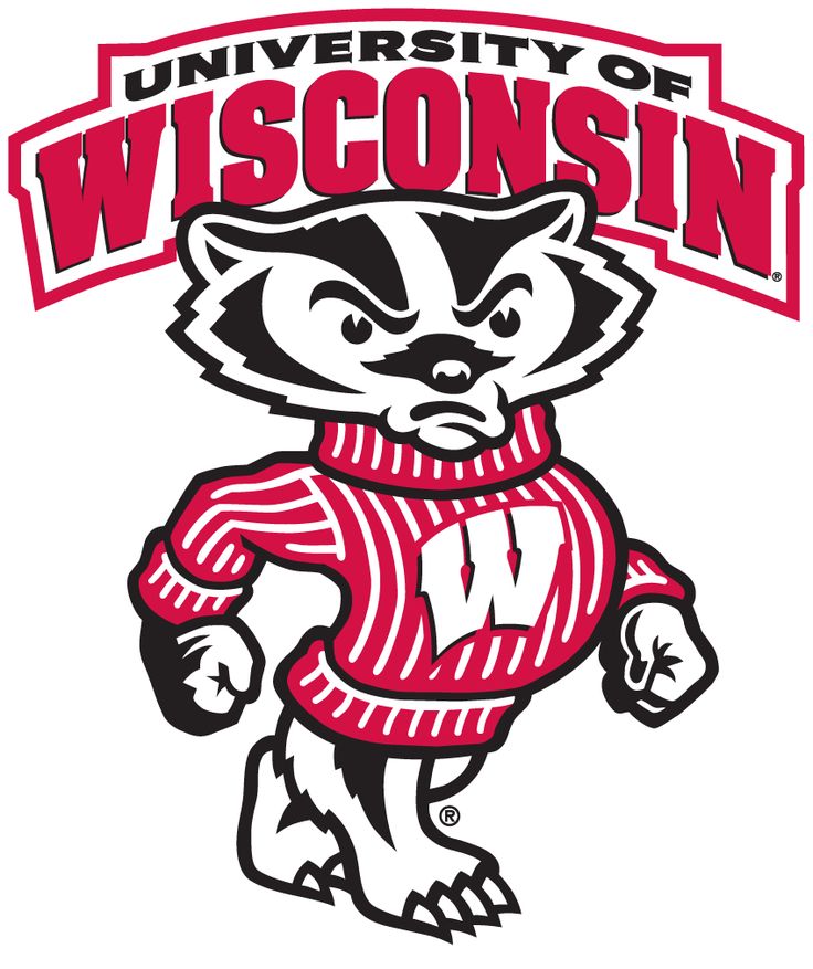 736x877 Badger Clipart Wisconsin