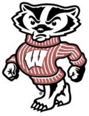 300x389 Top 95 Badger Clipart