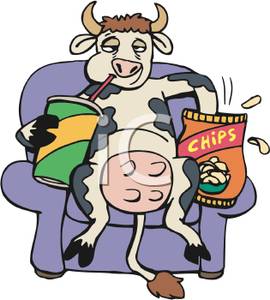 270x300 Cow Sitting On The Couch Eating Potato Chips And Drinking Soda