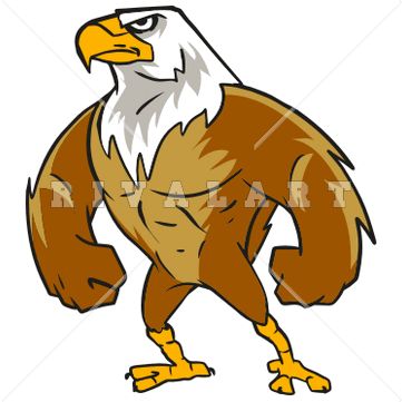 361x361 Eagle Clipart Brown Bird