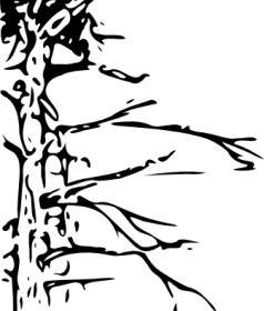 238x280 Coloring Book Bald Eagle Clip Art Vector Clip Art Free Vector Free