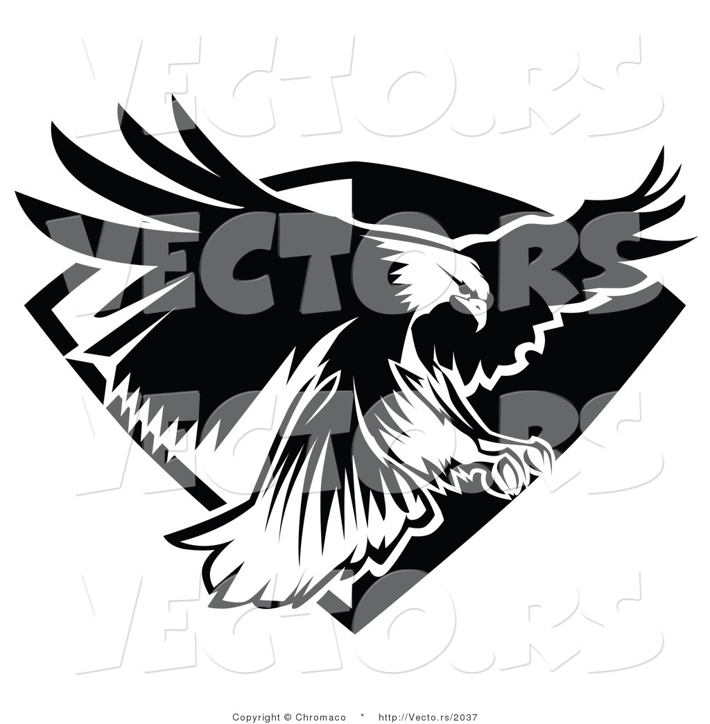 1024x1044 Eagle Head Clipart Black And White