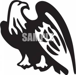 300x297 And White Bald Eagle Clipart Image