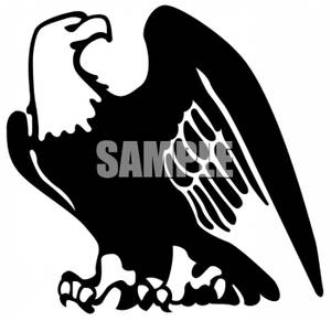 300x291 Eagle Clipart Black