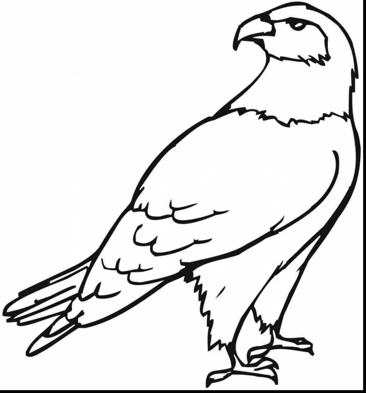 1277x1372 Fantastic Bald Eagle Clip Art Black And White With Eagle Coloring