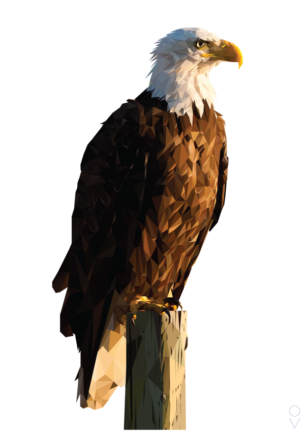 600x849 Bald Eagle Triangular By Olivier Verbiest, Via Behance Design