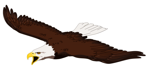 500x246 Eagle Png (25 Image) Vector Eps Free Download, Logo, Icons, Clipart