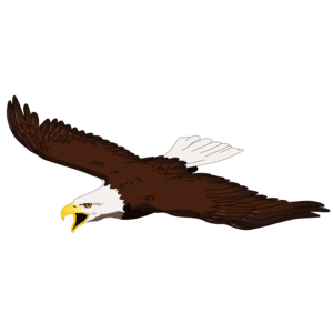 300x300 Eagle Png Clipart