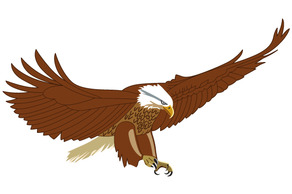 600x400 Eagle Clipart Simple Vector