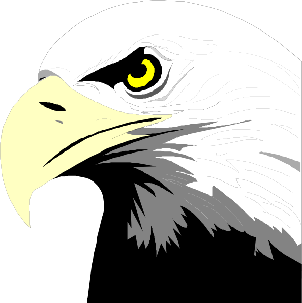 594x596 Bald Eagle Head Png, Svg Clip Art For Web