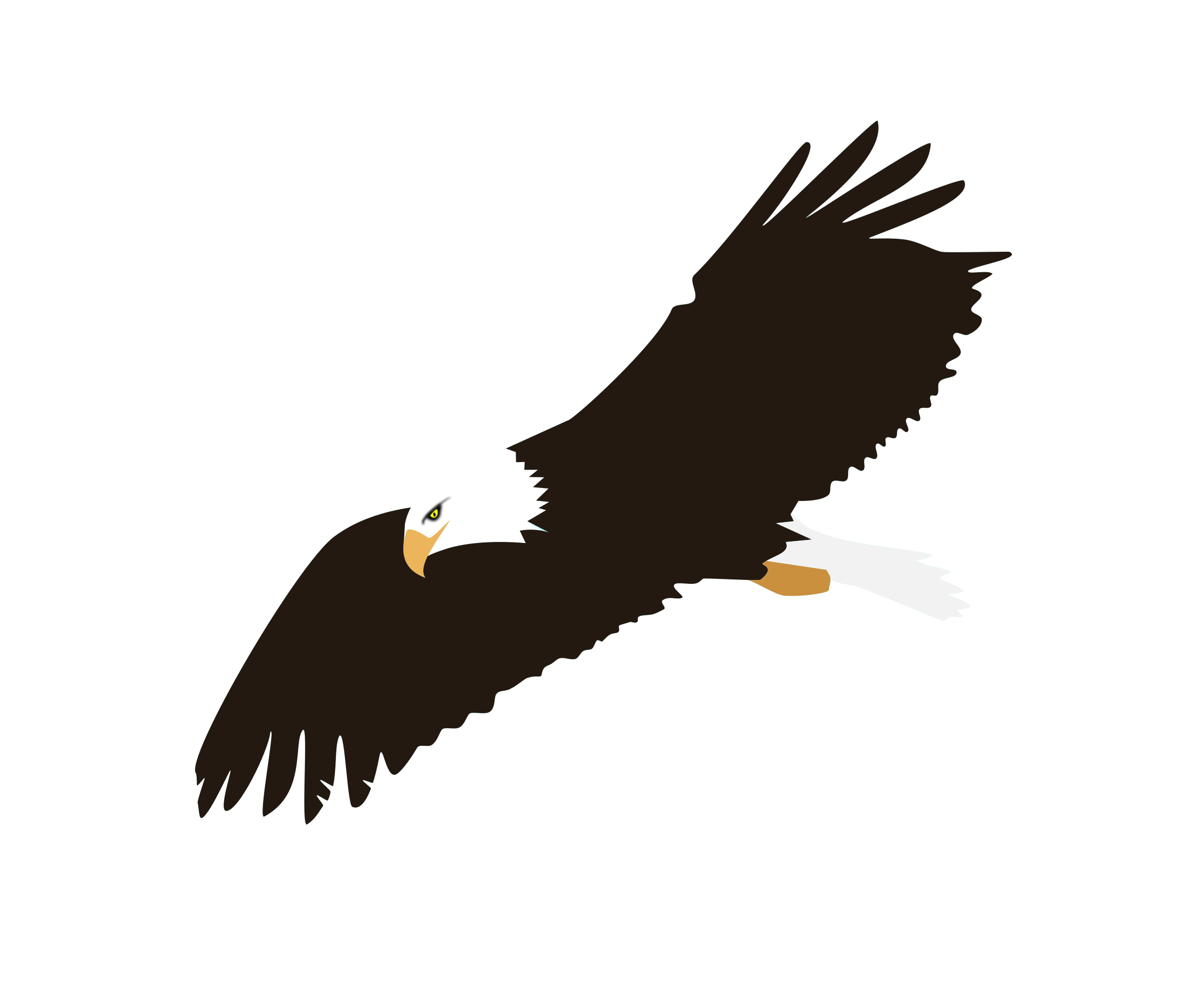 2400x2018 Soaring Eagle Png Image Png Mart