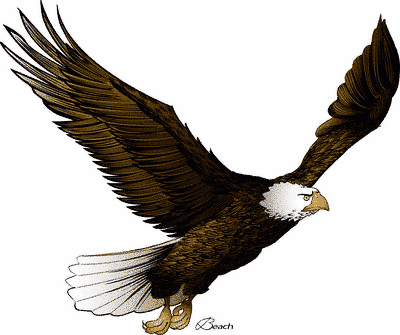 400x335 Bald Eagle Clip Art