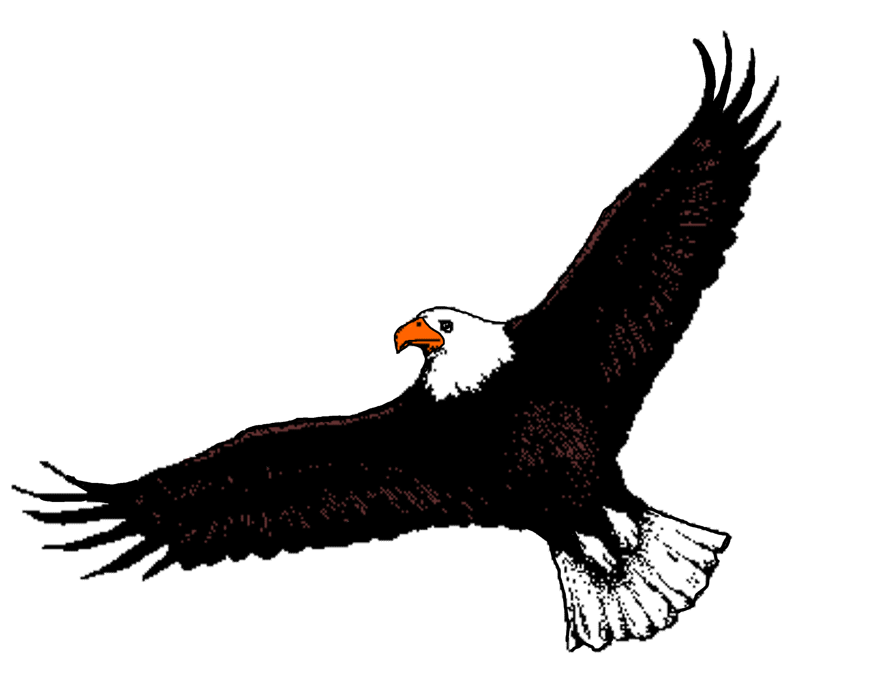 2995x2290 Bald Eagle Flying Clip Art Cliparts