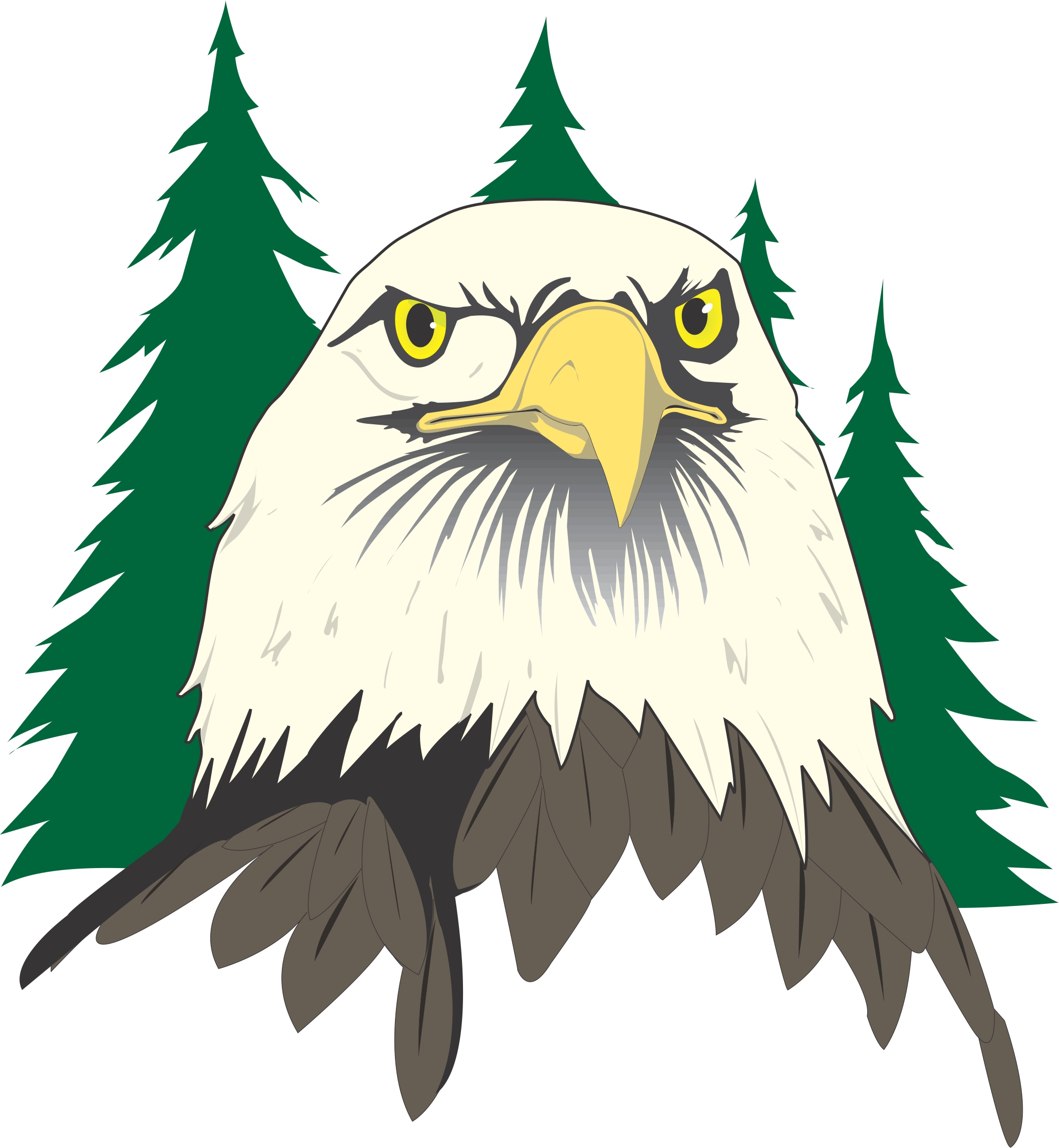 2070x2243 Bald Eagle Clipart Eagle Head