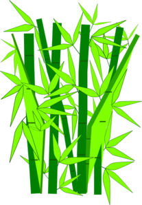 207x298 Bamboo Green Clip Art