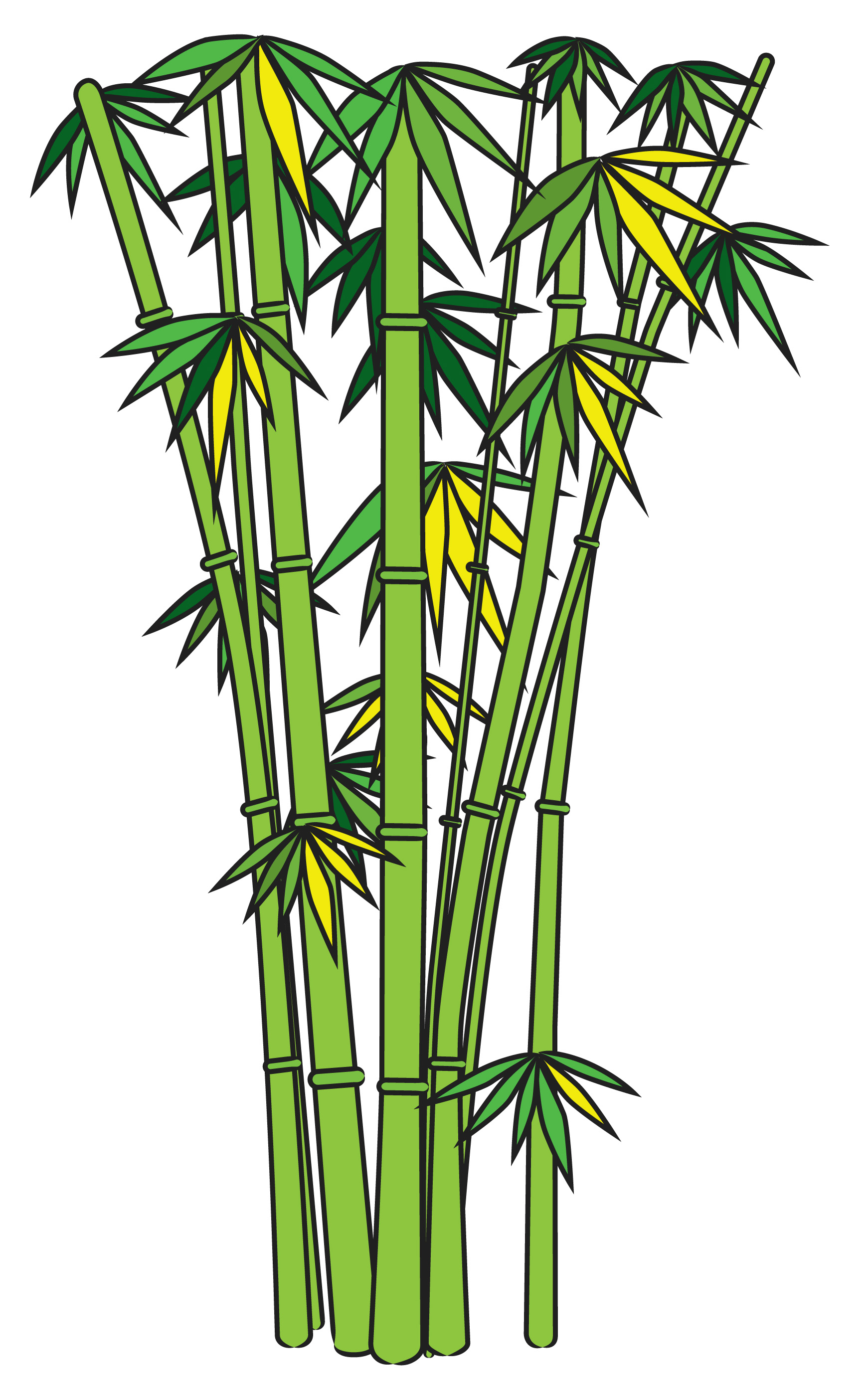 1741x2802 Bamboo Clip Art The Cliparts